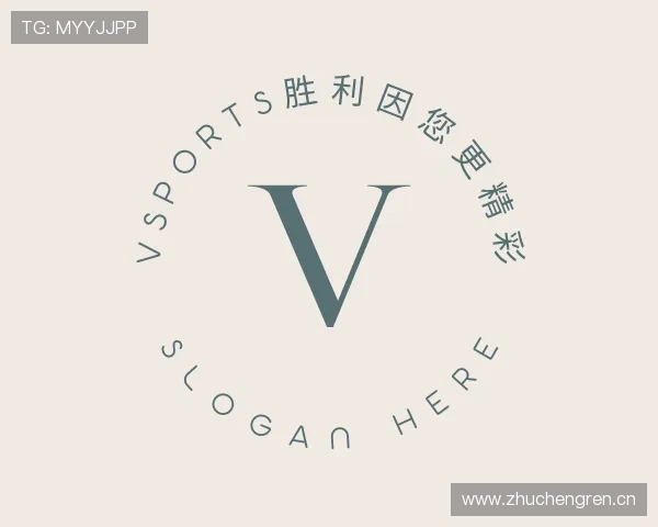 介绍VSPORTS胜利因您更精彩